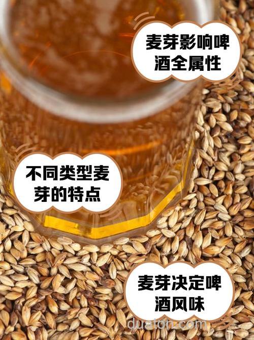 啤酒麦粒的做法?