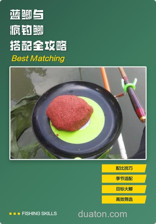 蓝鲫疯钓鲫千里香配比?
