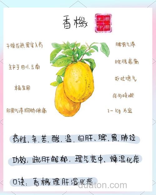 麝香果酸最佳搭配?