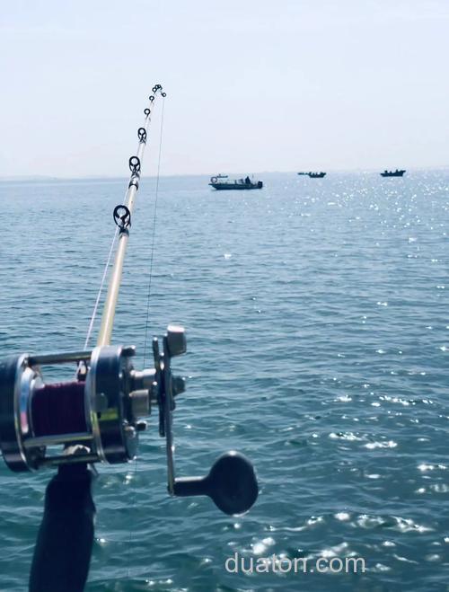 威海海钓攻略:如何选择钓点?掌握技巧,收获乐趣与安全