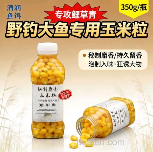麝香玉米粒钓什么鱼?