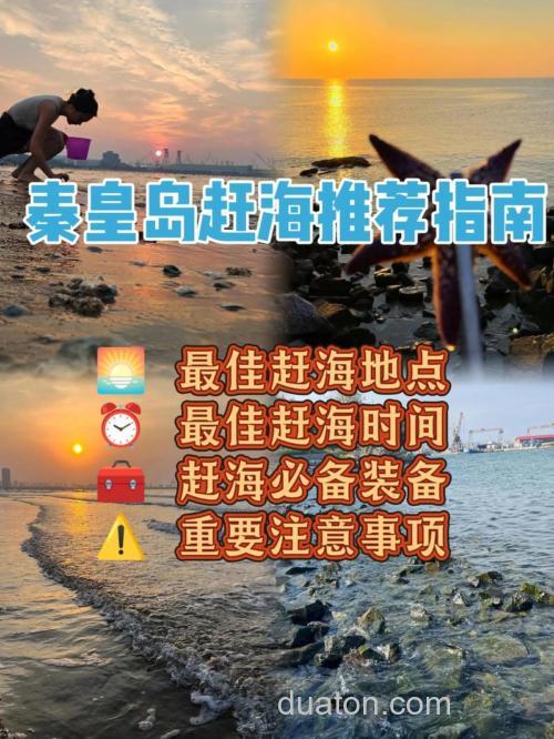 海钓赶海技巧:如何选择最佳时机与钓点?掌握潮汐,安全又丰收