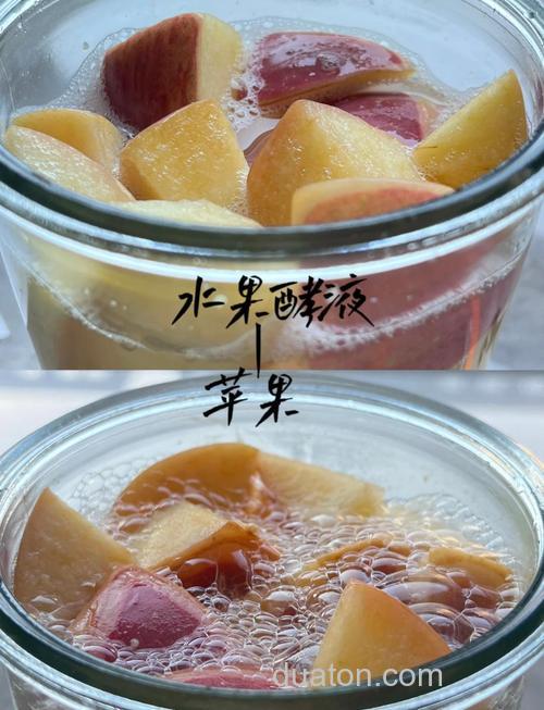 怎么做苹果酵素