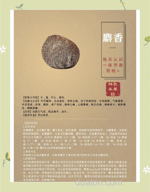 麝香饵料搭配？