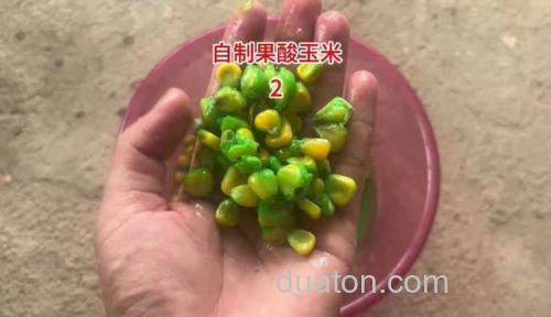 自制草鱼果酸?
