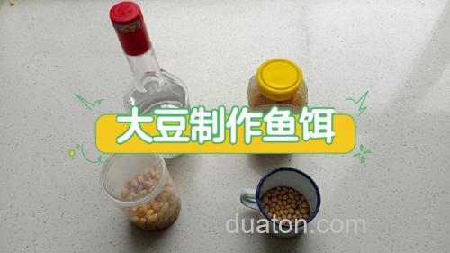 黄豆如何做鱼饵?
