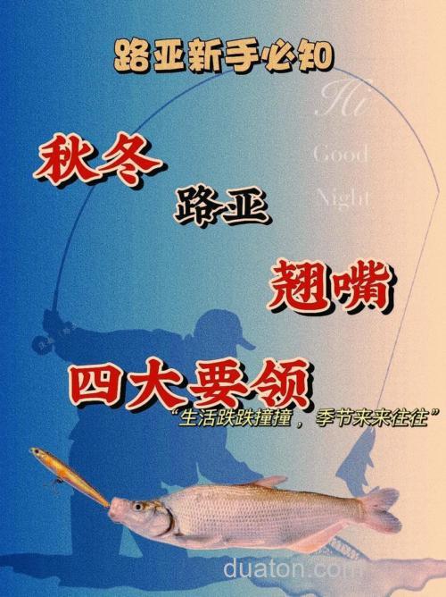 冬天钓翘嘴最快的钓法是什么?