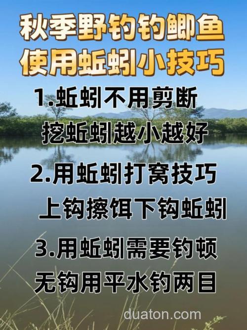河里钓鲫鱼用什么饵料好,能用蚯蚓吗