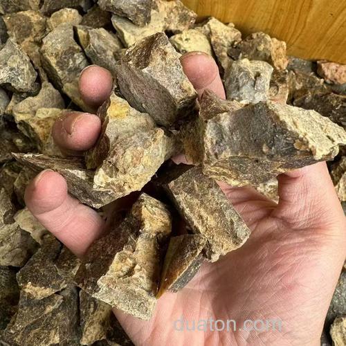用阿魏泡制窝料方法?
