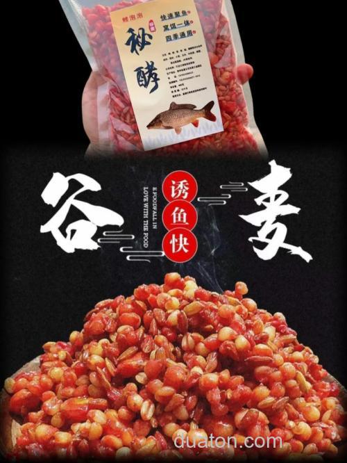 黎平富友谷麦窝料小药配方？