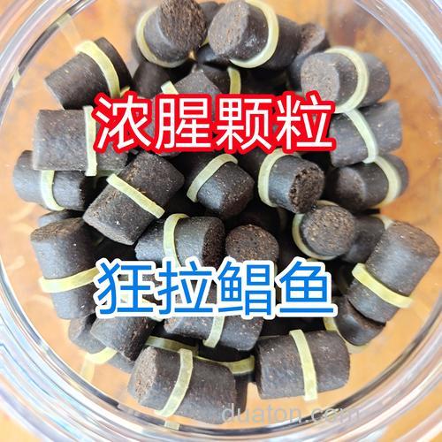 鲳鱼喜欢吃什么饵料?