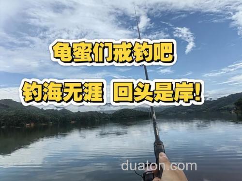 野钓为什么要保持安静？钓鱼声音大会不会把鱼吓跑？