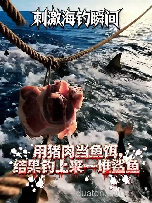 猪肉可以海钓饵吗?