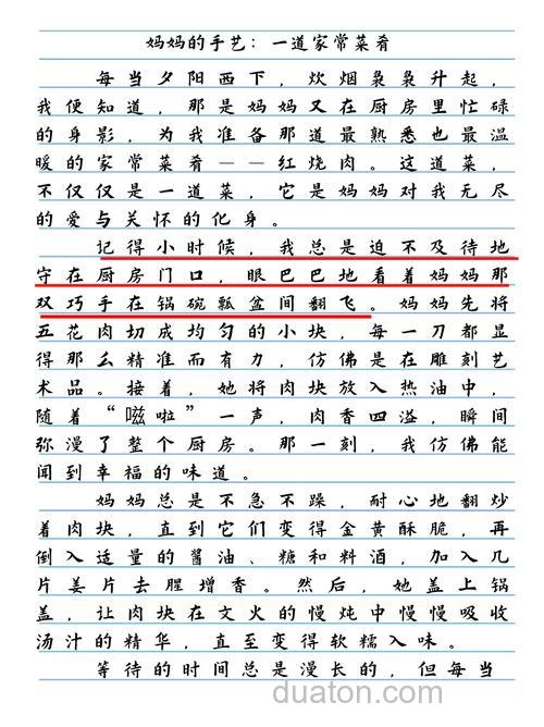 急求作文:妈妈的手艺