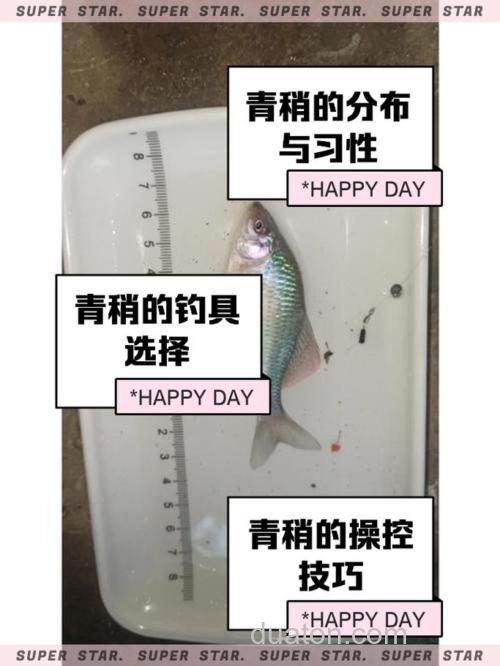 钓青稍是钓边还是钓远？