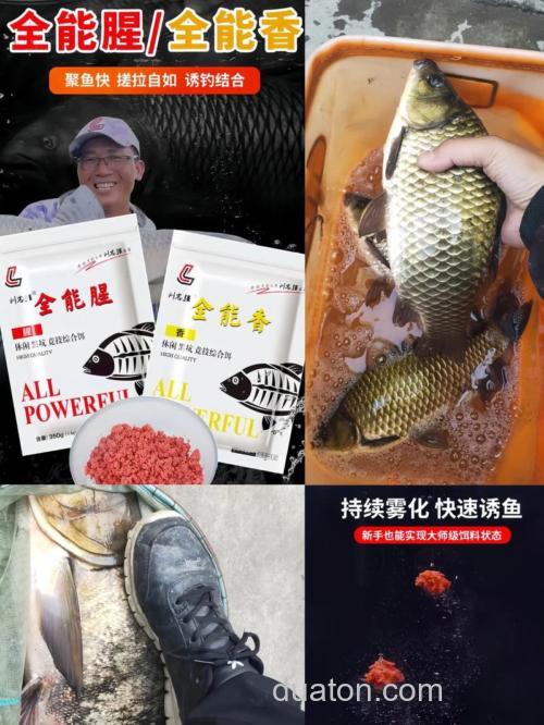 刘志强冬天钓鲑鱼饵料搭配？
