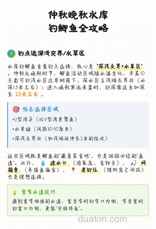 仲秋如何钓鲫鱼?