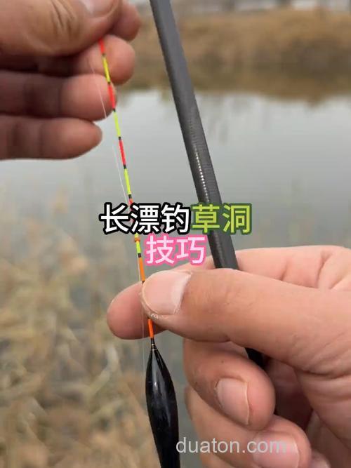 松子钓鱼的正确方法?