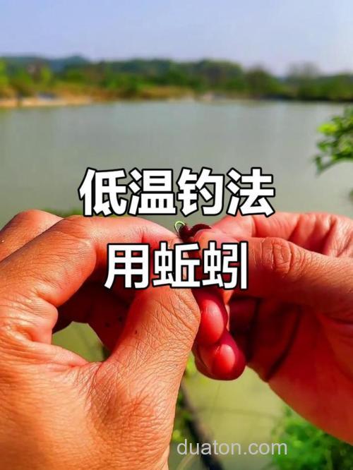 天冷了用蚯蚓好吗?