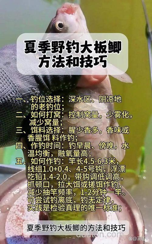 春季钓鱼为何别人爆护你却空军?试试这 3 个钓位,轻松解锁大板鲫