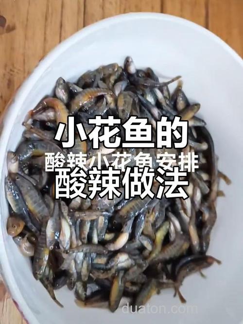 小花鱼用什么饵料?