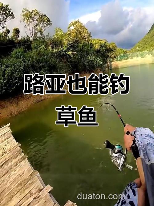 m硬度路亚竿能钓草鱼吗?