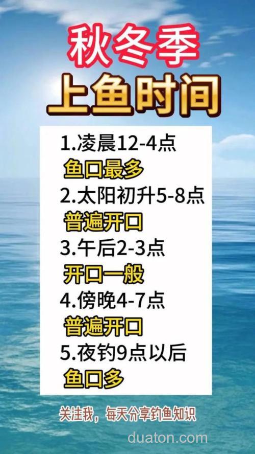 冬天鱼口最好的时间段什么时候?