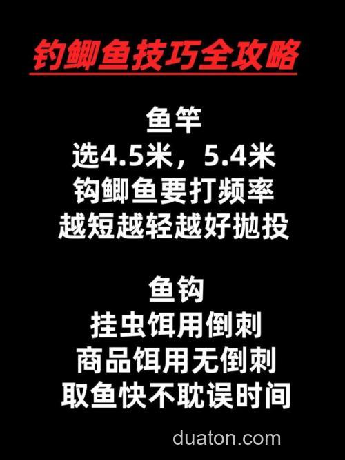 怎么钓鲫鱼 钓鲫鱼技巧 钓鱼百