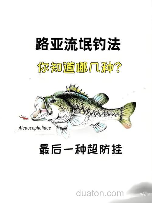一文读懂:独特钓法全解析