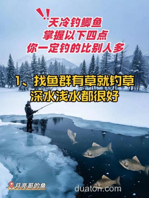 天冷钓鲫鱼抱怨不好钓?怎么办?