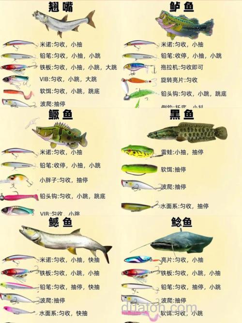 鱼饵怎么配比?