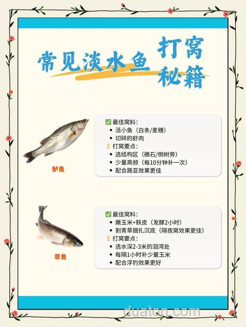 草鱼如何打窝才能爆护?