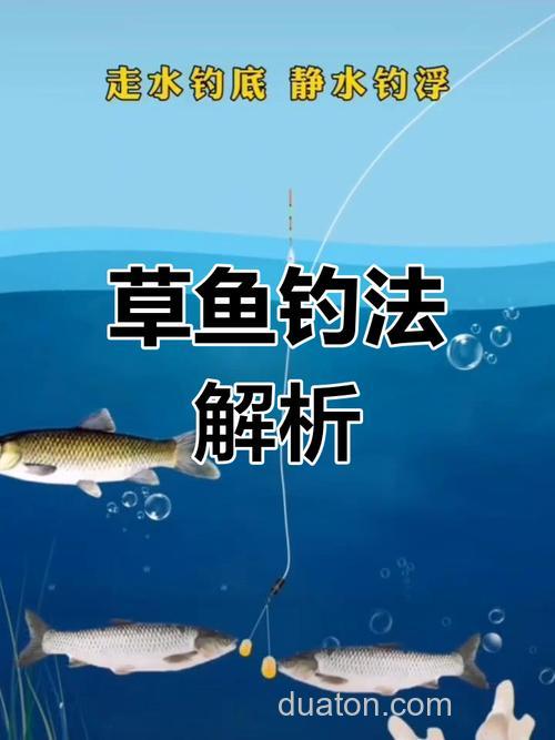 现在钓草鱼,钓底好还是钓半水好?