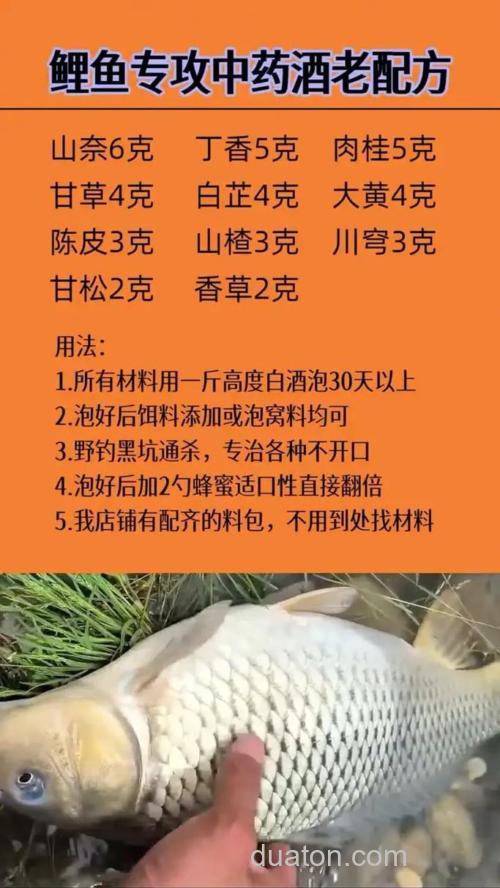 钓养殖鲤的好配方