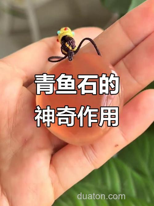 青鱼的宝藏：青鱼石