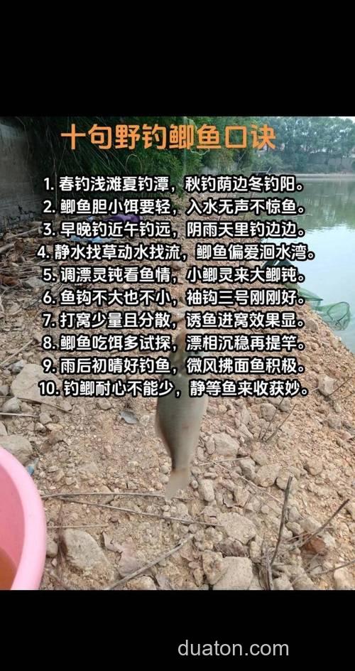 立春后别只盯着鲫鱼!钓鲤鱼秘籍在此,让你连杆爽到爆