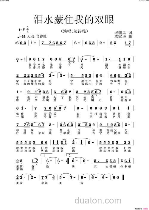 找一首歌,一句歌词是“泪水模糊了我的双眼”