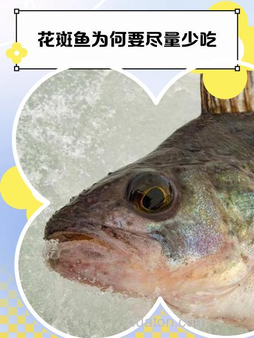 吃了花斑鱼能吃榴莲吗