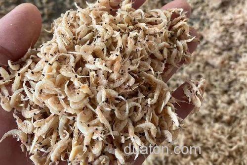 自己用虾皮做鱼饵最简单方法?