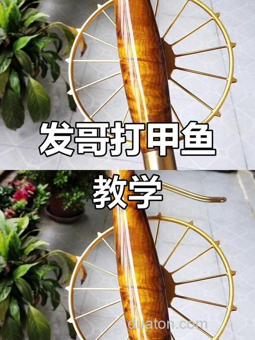 怎样打甲鱼