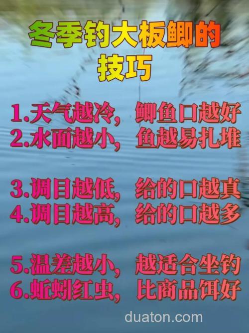 冬季钓大板鲫的4个技巧是什么？