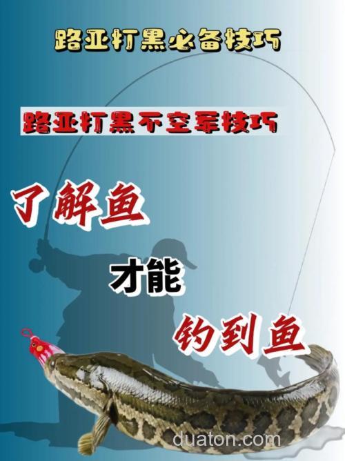 新手很轻松就可以学会的钓黑鱼技巧