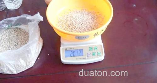 小麦饵料实测效果？