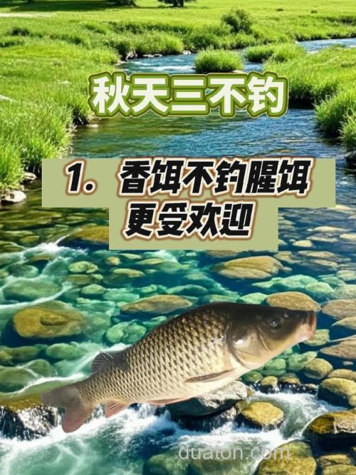 钓鱼的季节 什么季节钓鱼最好?