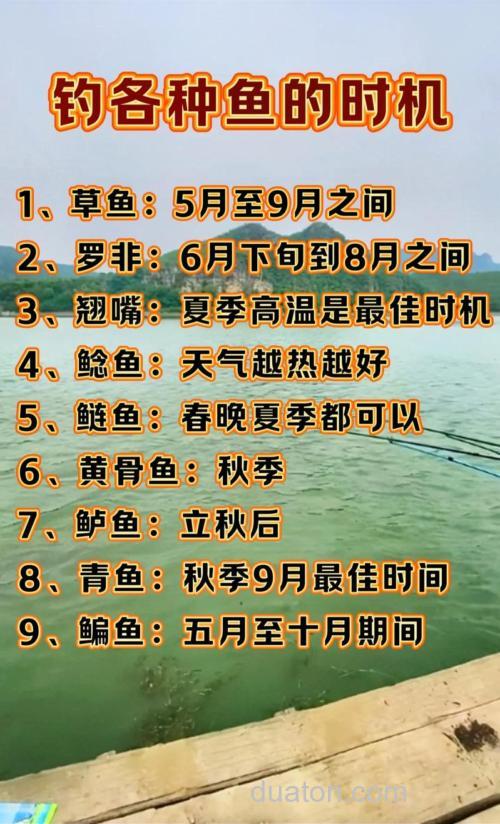 什么时间钓鱼最好?