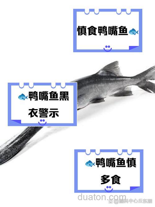 鸭嘴鱼吃小鱼吗?鸭嘴鱼吃什么饵料?