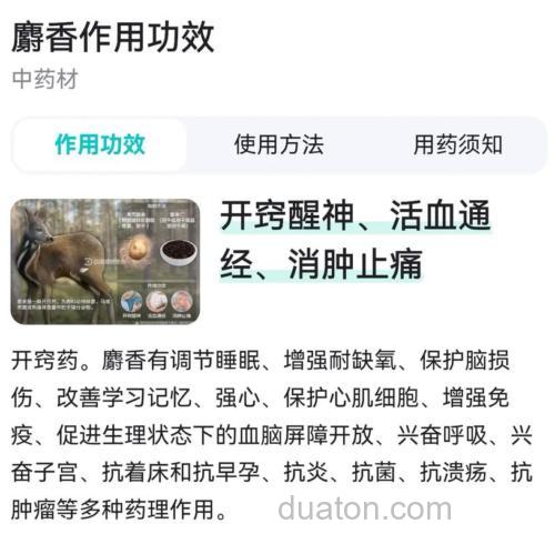 麝香泡酒治什么病