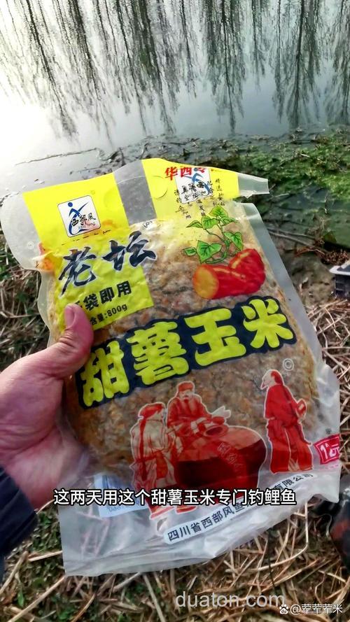 夏季钓鲤鱼用甜薯玉米还是谷麦?