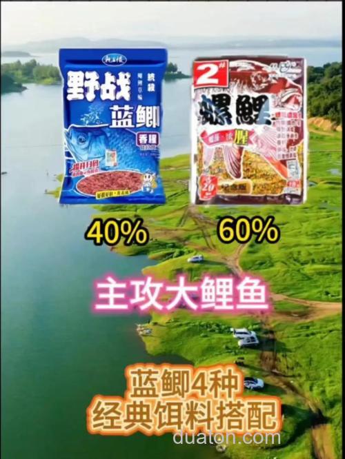 丸九黄鲫与野战蓝鲫最佳搭配？