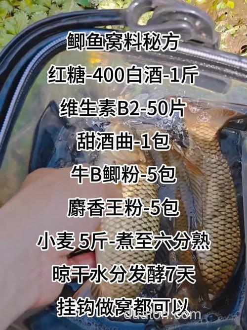 钓河里的鲫鱼,打窝子选什么配方?